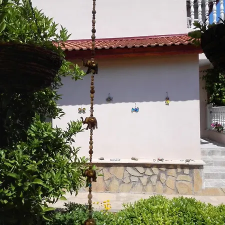 Mehtap Dalyan